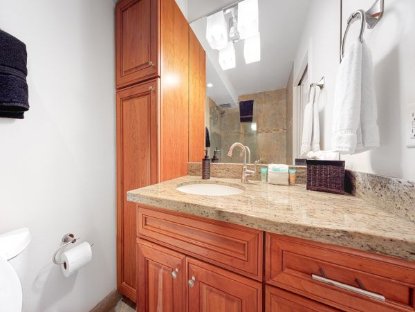 Wailea Home 1017480