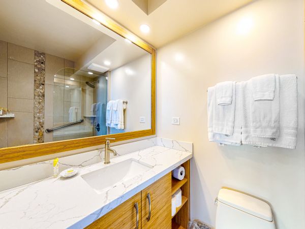 Wailea Home 1017482