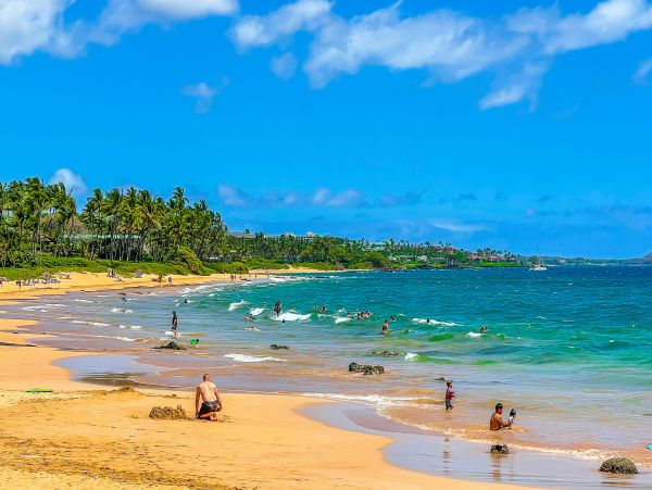 Wailea Home 1017482