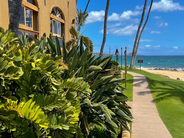 Wailea Home 1017483