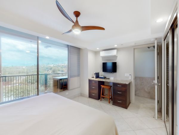 Wailea Home 1017485