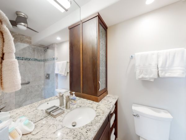 Wailea Home 1017485