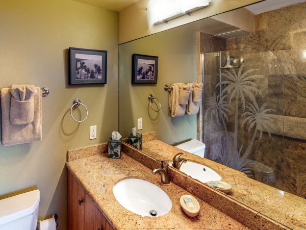 Wailea Home 1017489