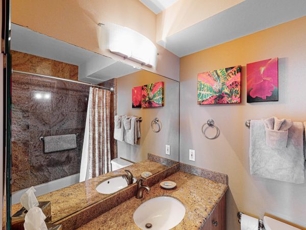Wailea Home 1017489