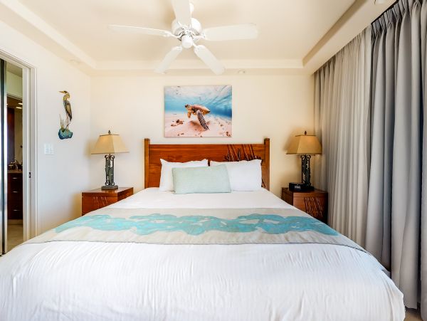 Wailea Home 1017491