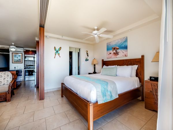 Wailea Home 1017491