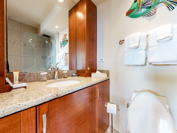 Wailea Home 1017491