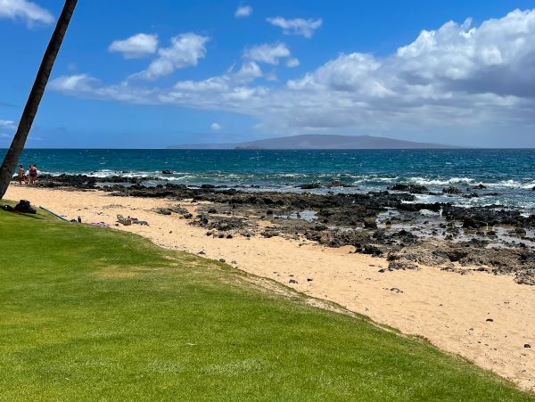 Wailea Home 1017491