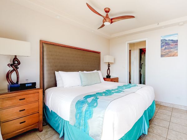 Wailea Home 1017492