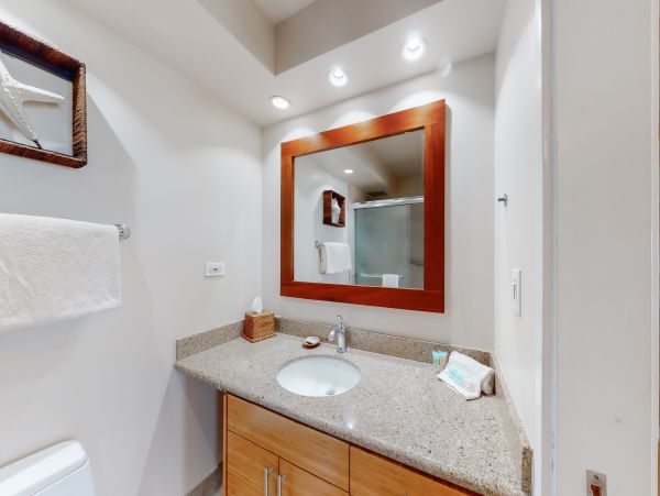 Wailea Home 1017494