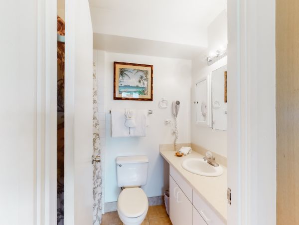 Wailea Home 1017496
