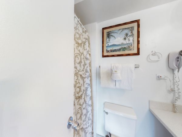 Wailea Home 1017496