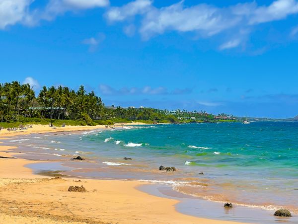Wailea Home 1017496