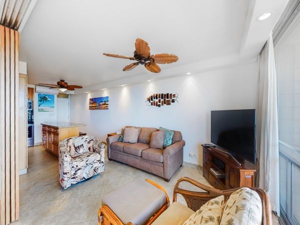 Wailea Home 1017499