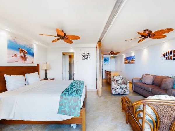 Wailea Home 1017499