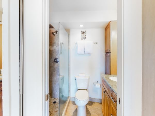 Wailea Home 1017499