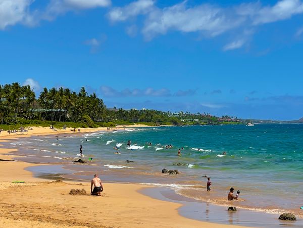 Wailea Home 1017499