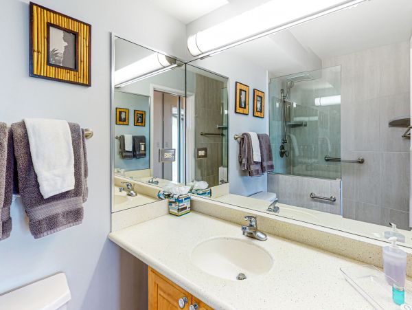 Wailea Home 1017501