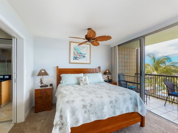 Wailea Home 1017503