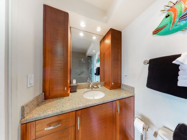 Wailea Home 1017504