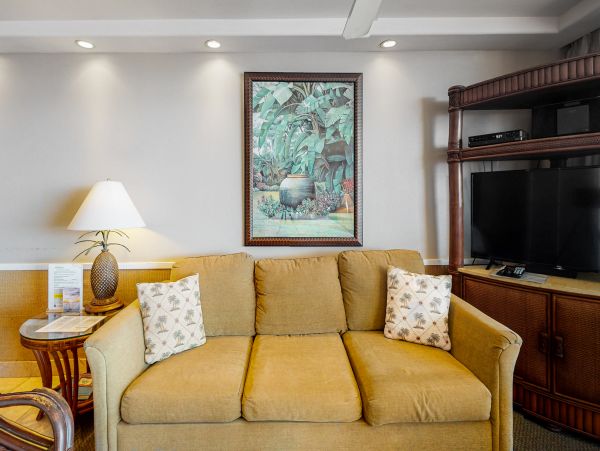 Wailea Home 1017507