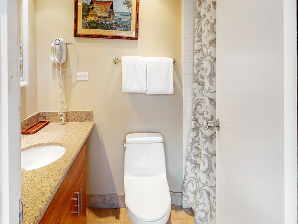 Wailea Home 1017507