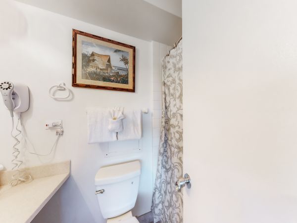 Wailea Home 1017508