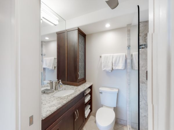 Wailea Home 1017509