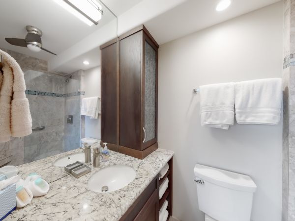 Wailea Home 1017509