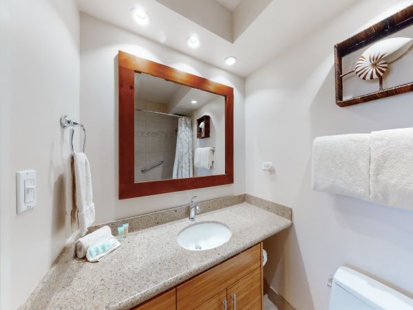 Wailea Home 1017510