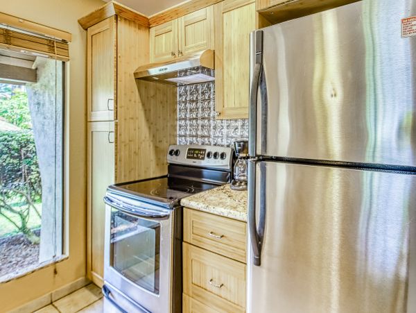 Wailea Home 1017511
