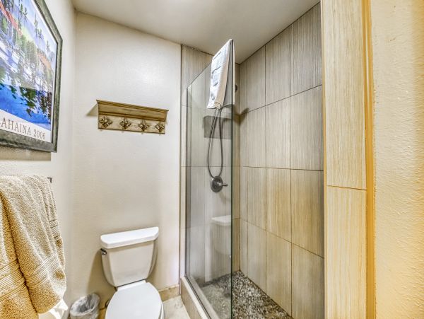 Wailea Home 1017511