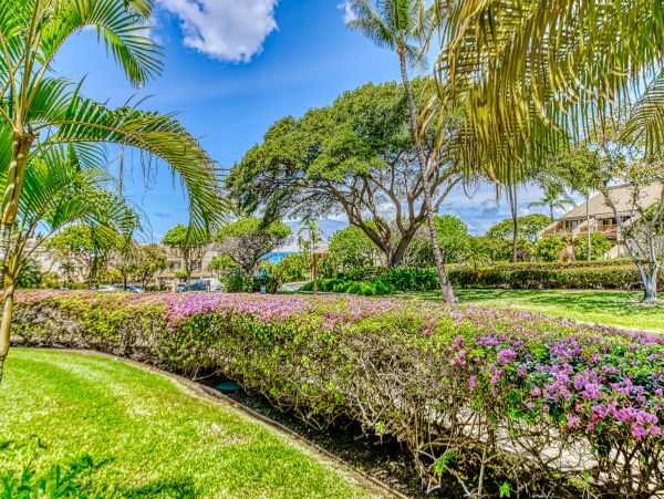 Wailea Home 1017511
