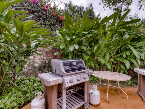 Wailea Home 1017511