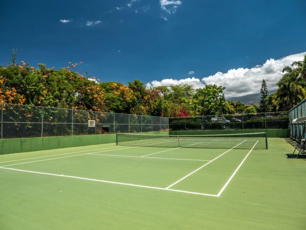 Wailea Home 1017512
