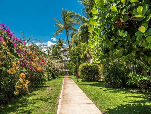 Wailea Home 1017512