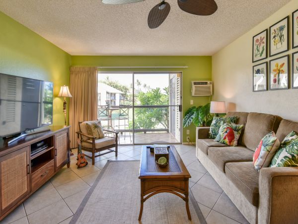 Wailea Home 1017513