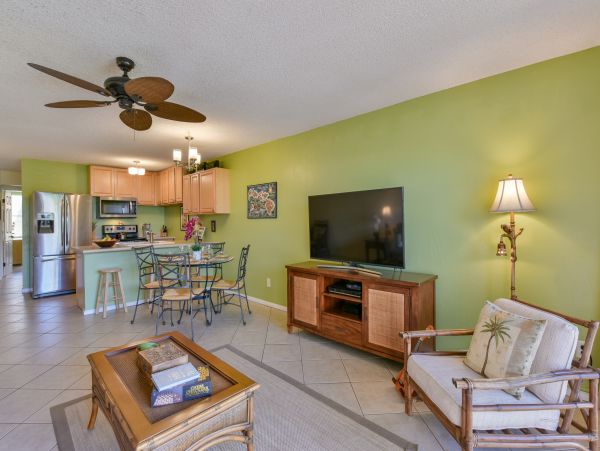 Wailea Home 1017513