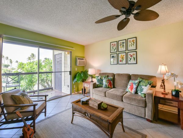 Wailea Home 1017513
