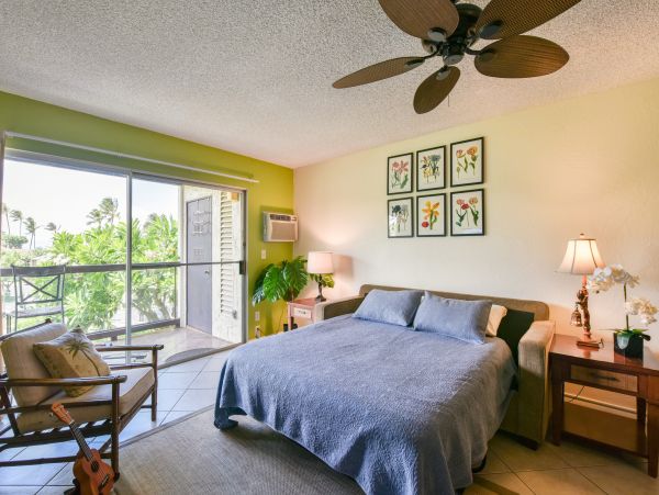Wailea Home 1017513