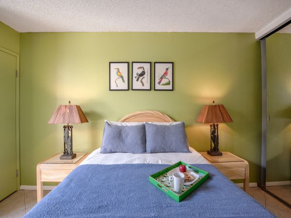 Wailea Home 1017513