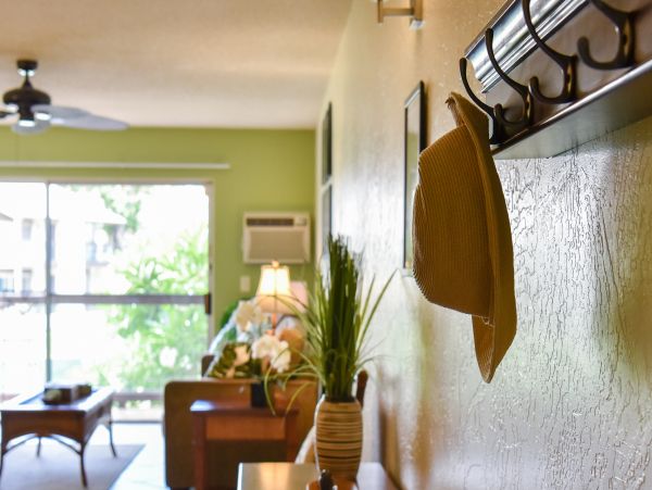 Wailea Home 1017513