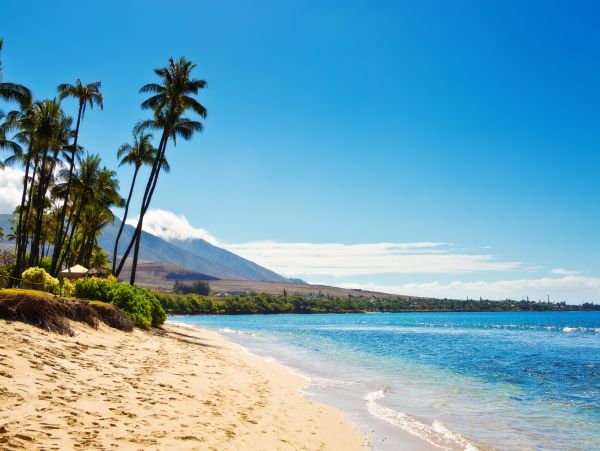 Wailea Home 1017513