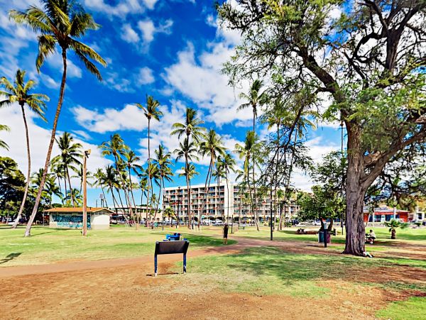 Kihei Home 1017516