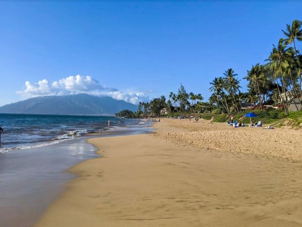 Wailea Home 1017518