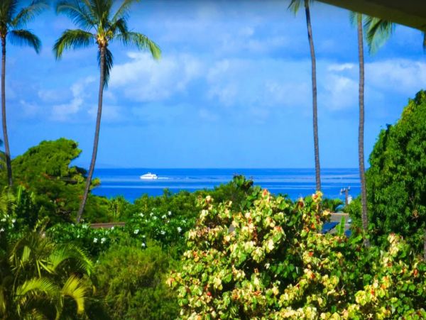 Wailea Home 1017518