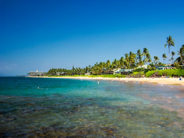 Wailea Home 1017518