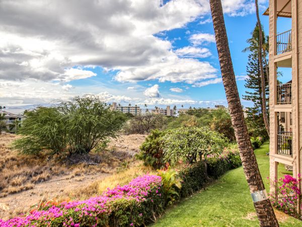 Kihei Home 1017519