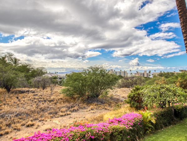 Kihei Home 1017519