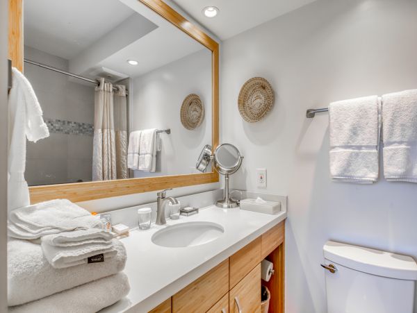 Wailea Home 1017520
